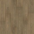 Clydesdale Hickory