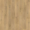 Tulip Shell Oak