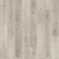 Sunshower Oak