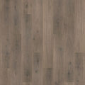 Cloudy Oak