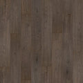 Anchor Oak