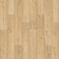 Canoe Oak