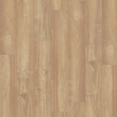 AWF-Mohawk-Color:5CE07052CE862262AE56C07B