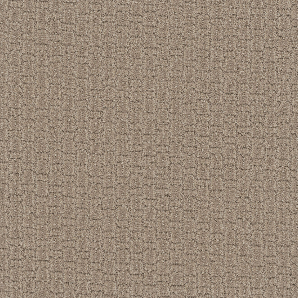 GRAND ISLE - Almond Bark - Swatch