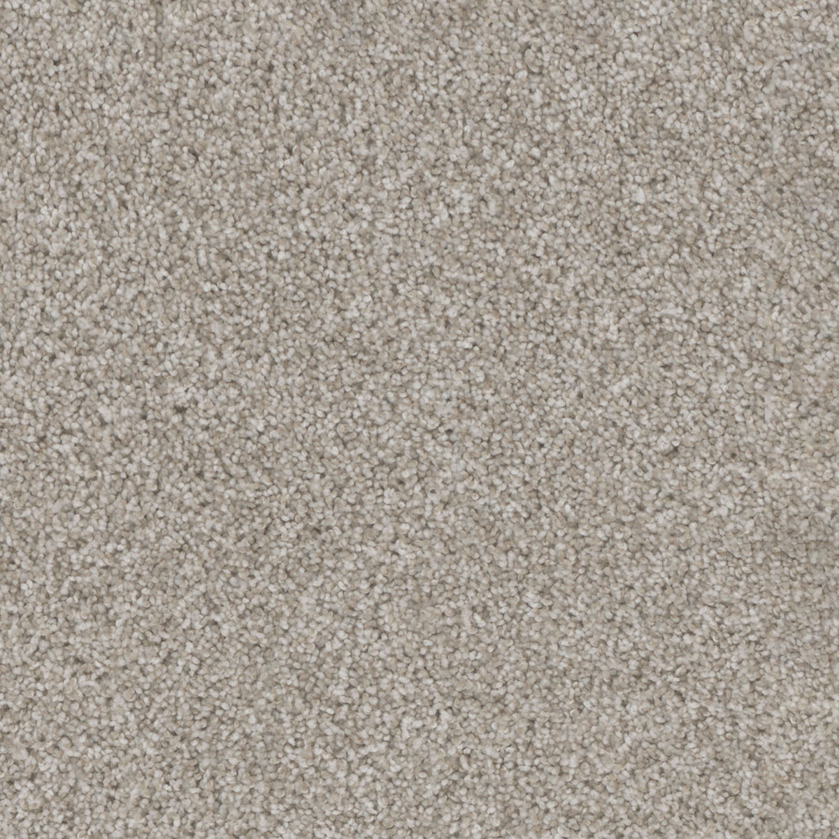TRENDSETTER I - Acadia - Swatch