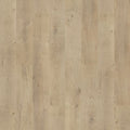 Cashew Oak