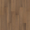 Bark Hickory