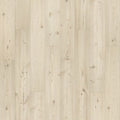 Shale Pine