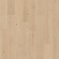 Light Beige Oak