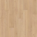 Cork Oak
