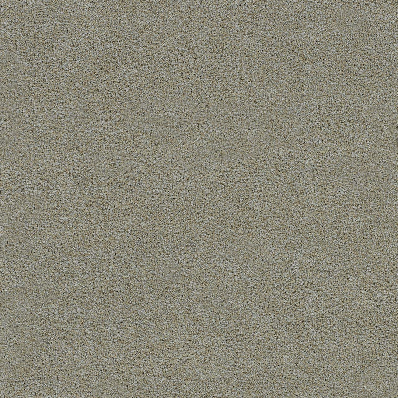 MORNING GLORY I - Artic Vibe - Swatch