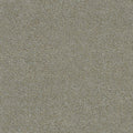MORNING GLORY III - Artic Vibe - Swatch