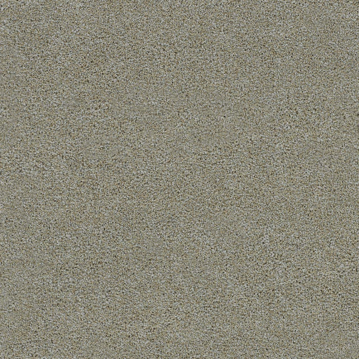 MORNING GLORY III - Artic Vibe - Swatch