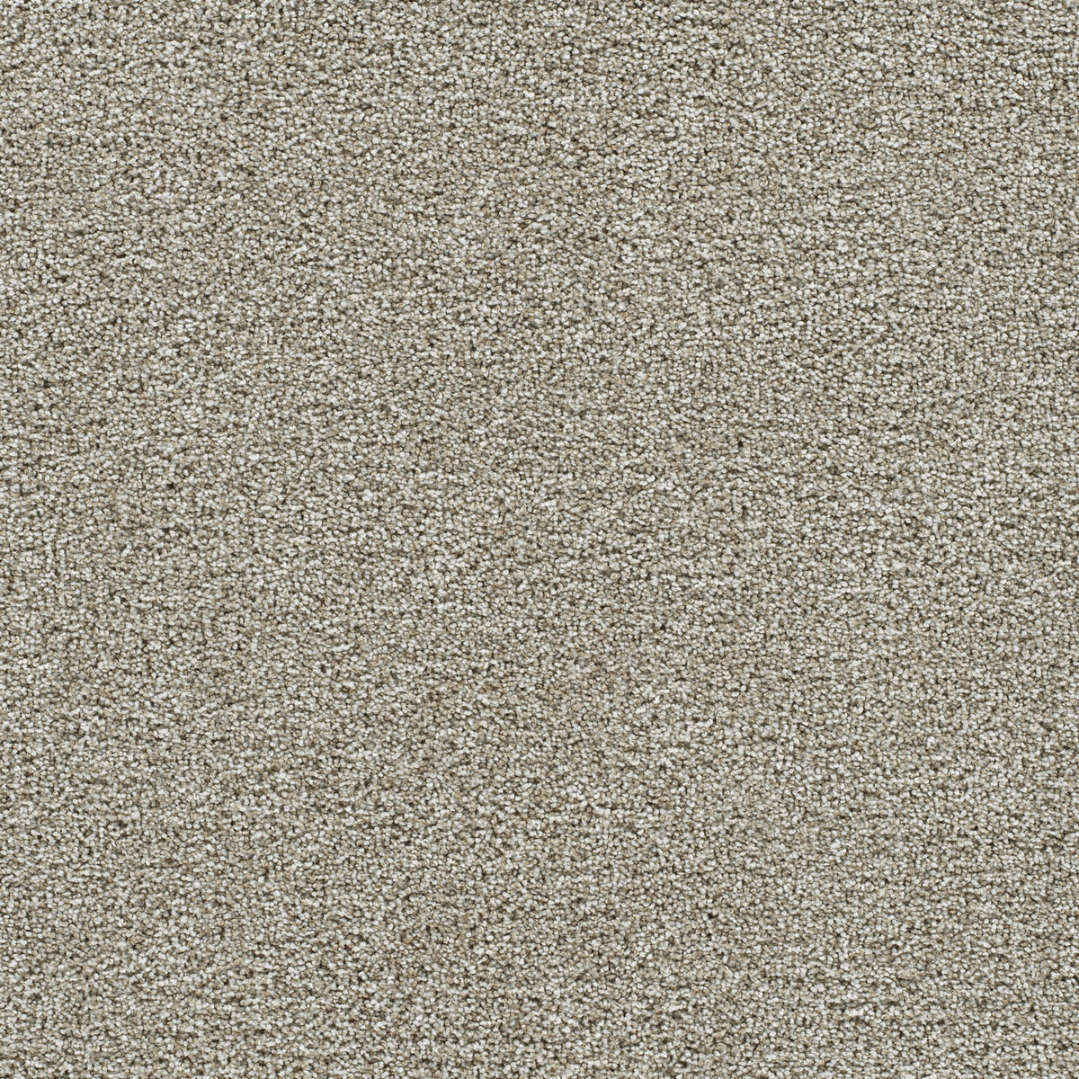 GOLD STANDARD I - Alloy - Swatch