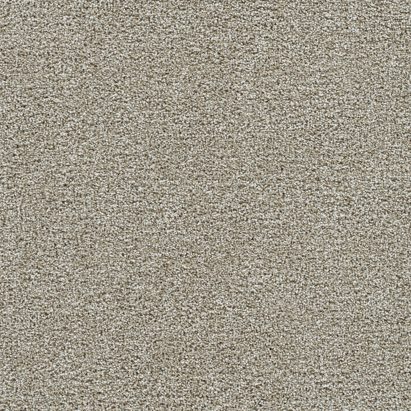 GOLD STANDARD II - Alloy - Swatch