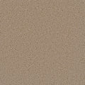 Satinwood