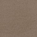 FIRST STEP - Balsam - Swatch