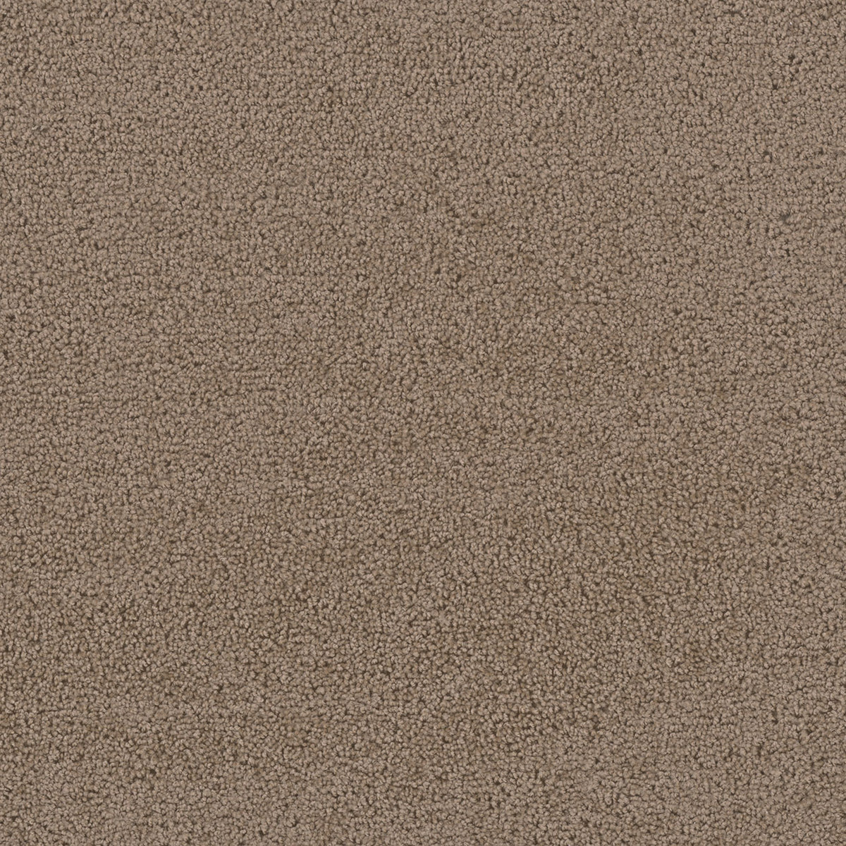 FIRST STEP - Balsam - Swatch