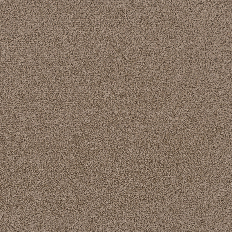 FIRST STEP - Balsam - Swatch