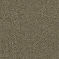 YELLOWSTONE - Cinnamon Tea - Swatch