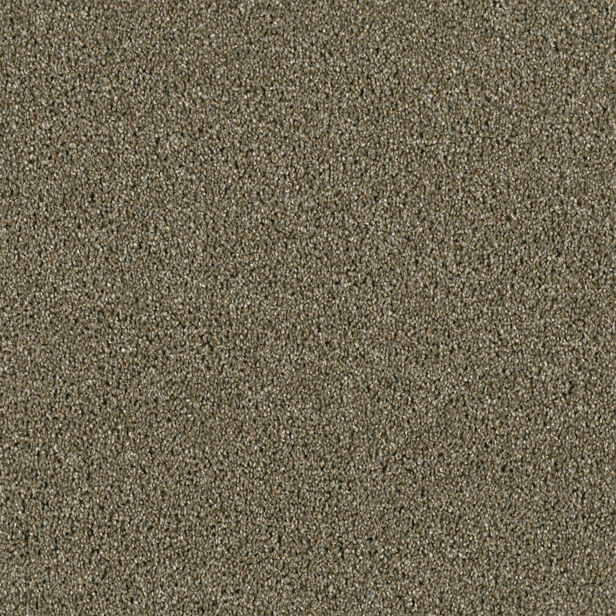 YELLOWSTONE - Cinnamon Tea - Swatch