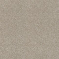 Beach Sand