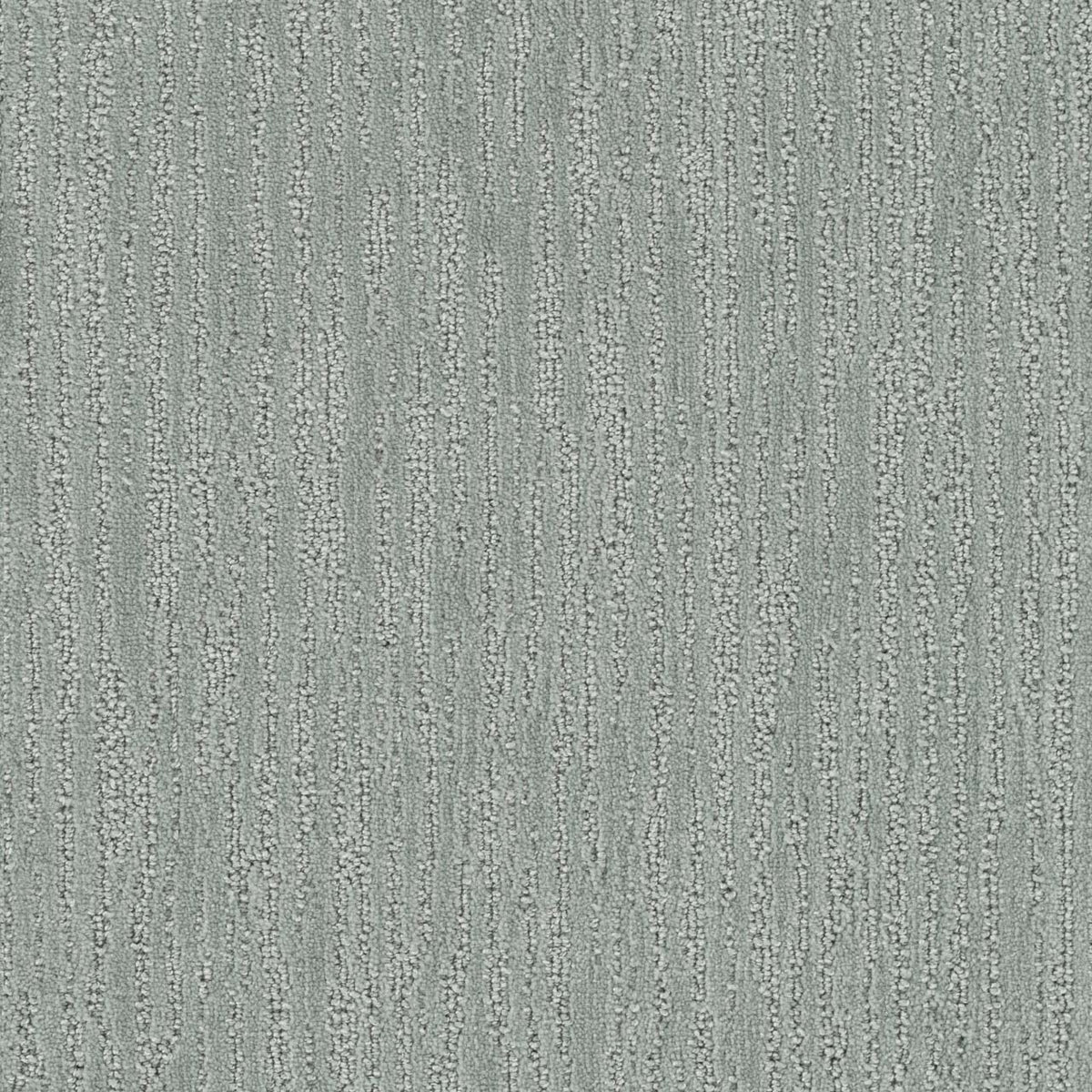 DARLINGTON - Absolute - Swatch