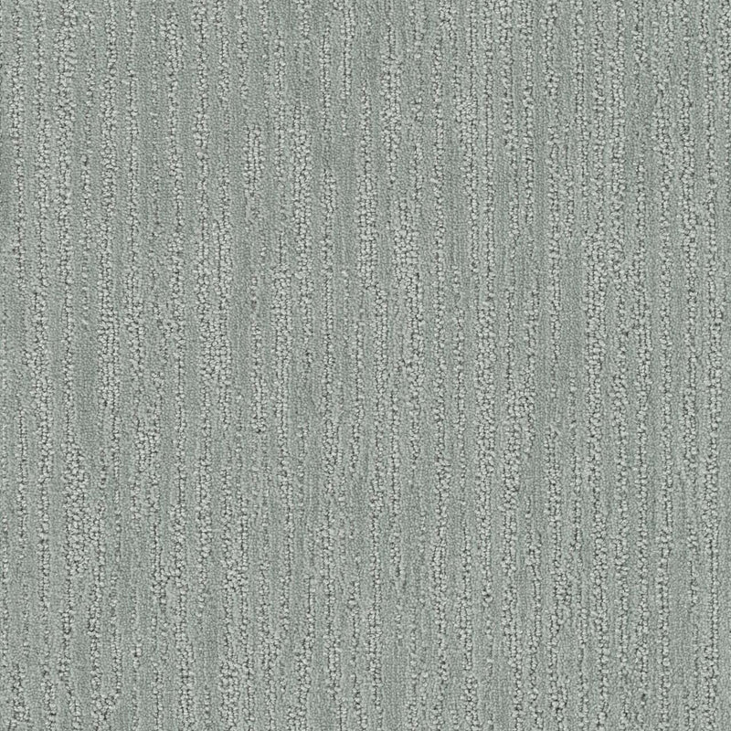DARLINGTON - Absolute - Swatch