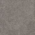 Dried Sage