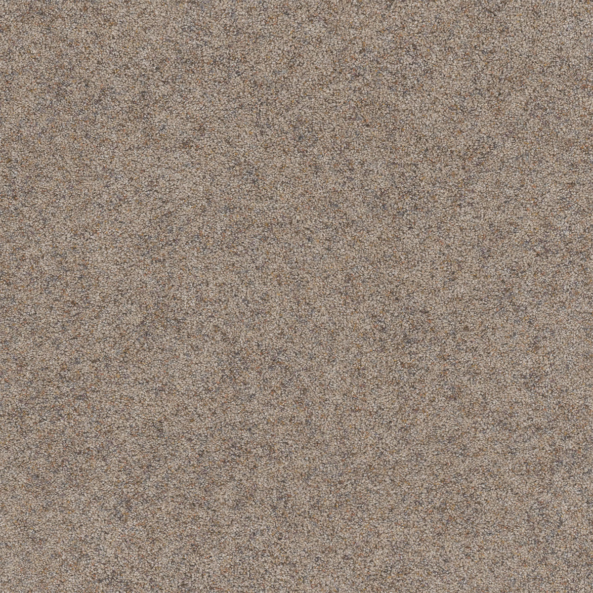 RUSTIC RETREAT I - Barn Light - Swatch