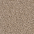 CAN'T MISS - Acorn - Swatch
