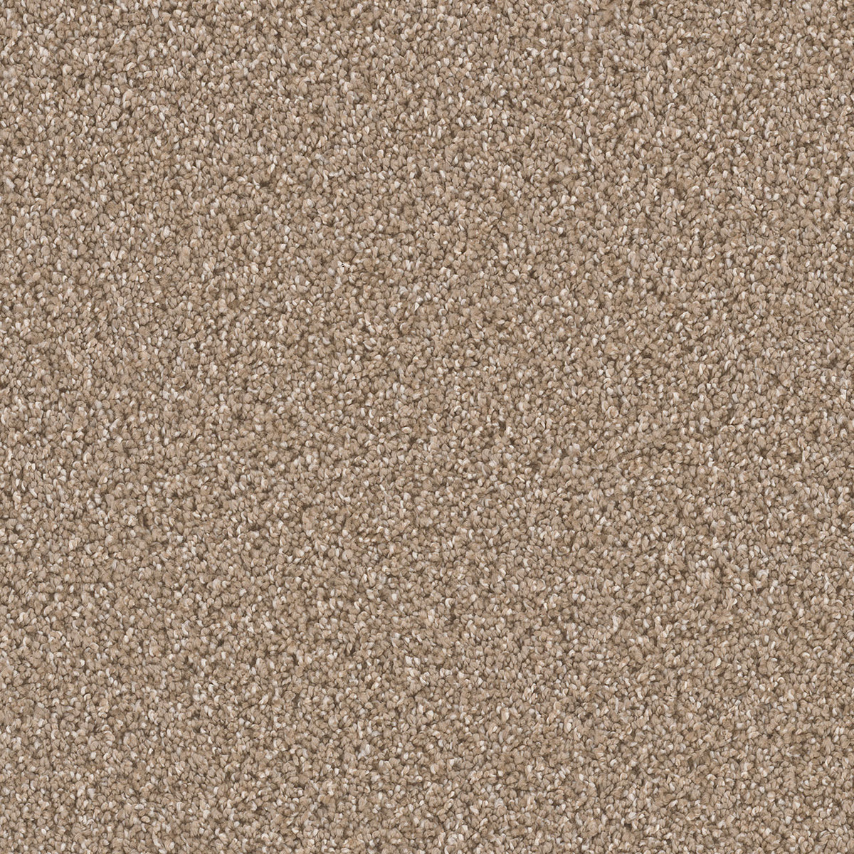 CAN'T MISS - Acorn - Swatch