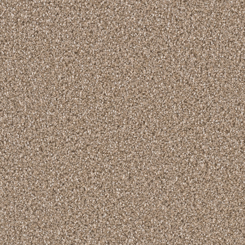 CAN'T MISS - Acorn - Swatch