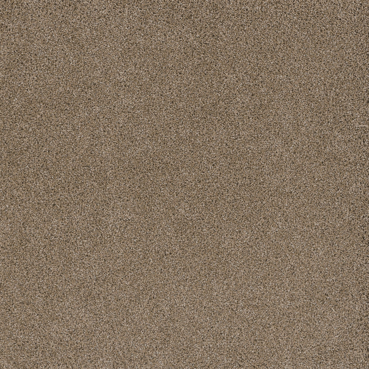 STUNNING - Straw - Swatch