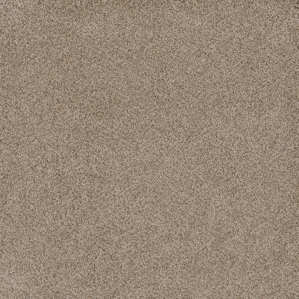 STUNNING - Oxford - Swatch