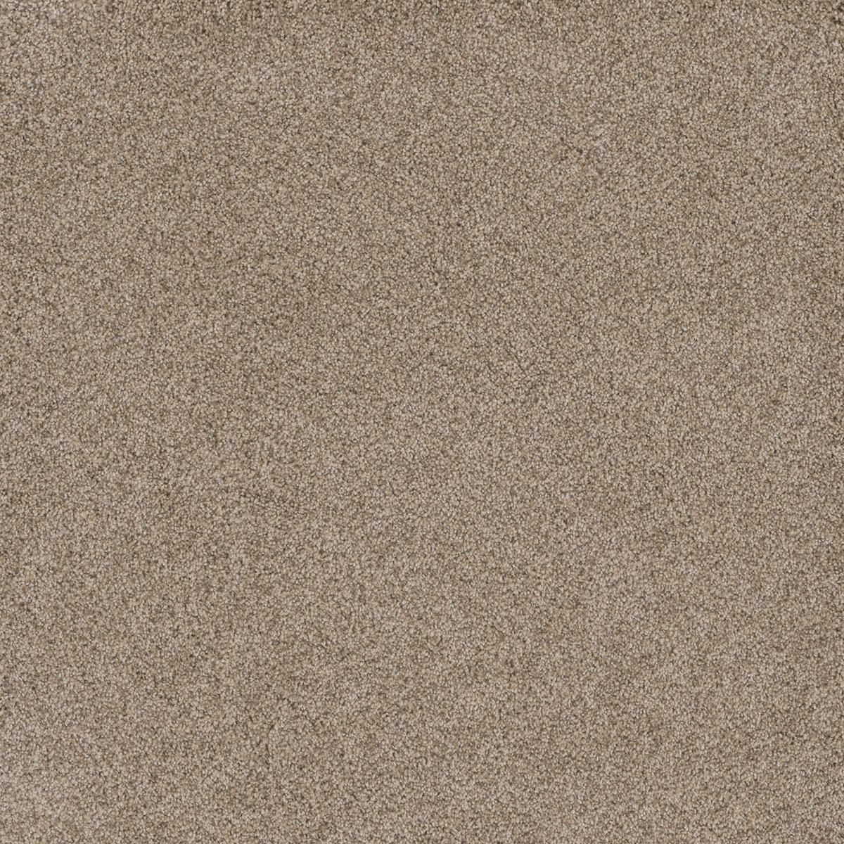 STUNNING - Oxford - Swatch