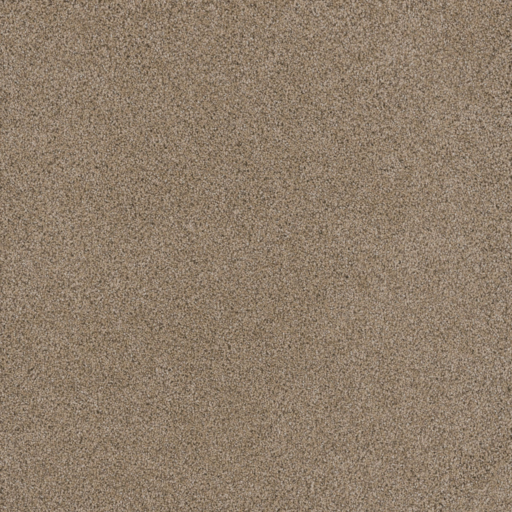 STUNNING - Ginger - Swatch