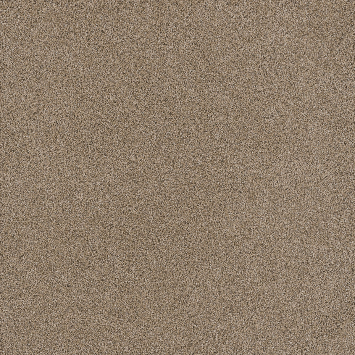 STUNNING - Ginger - Swatch