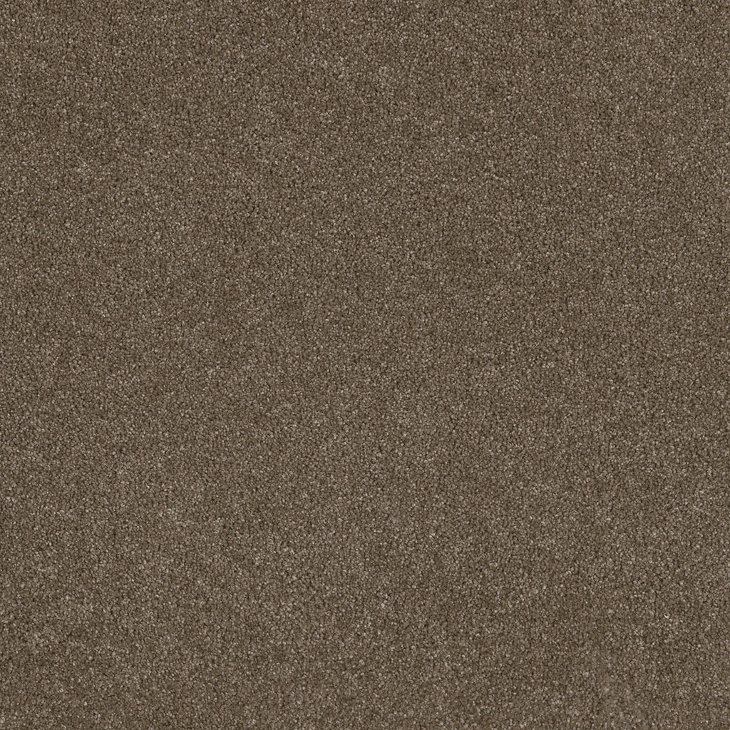 STUNNING - Peppercorn - Swatch
