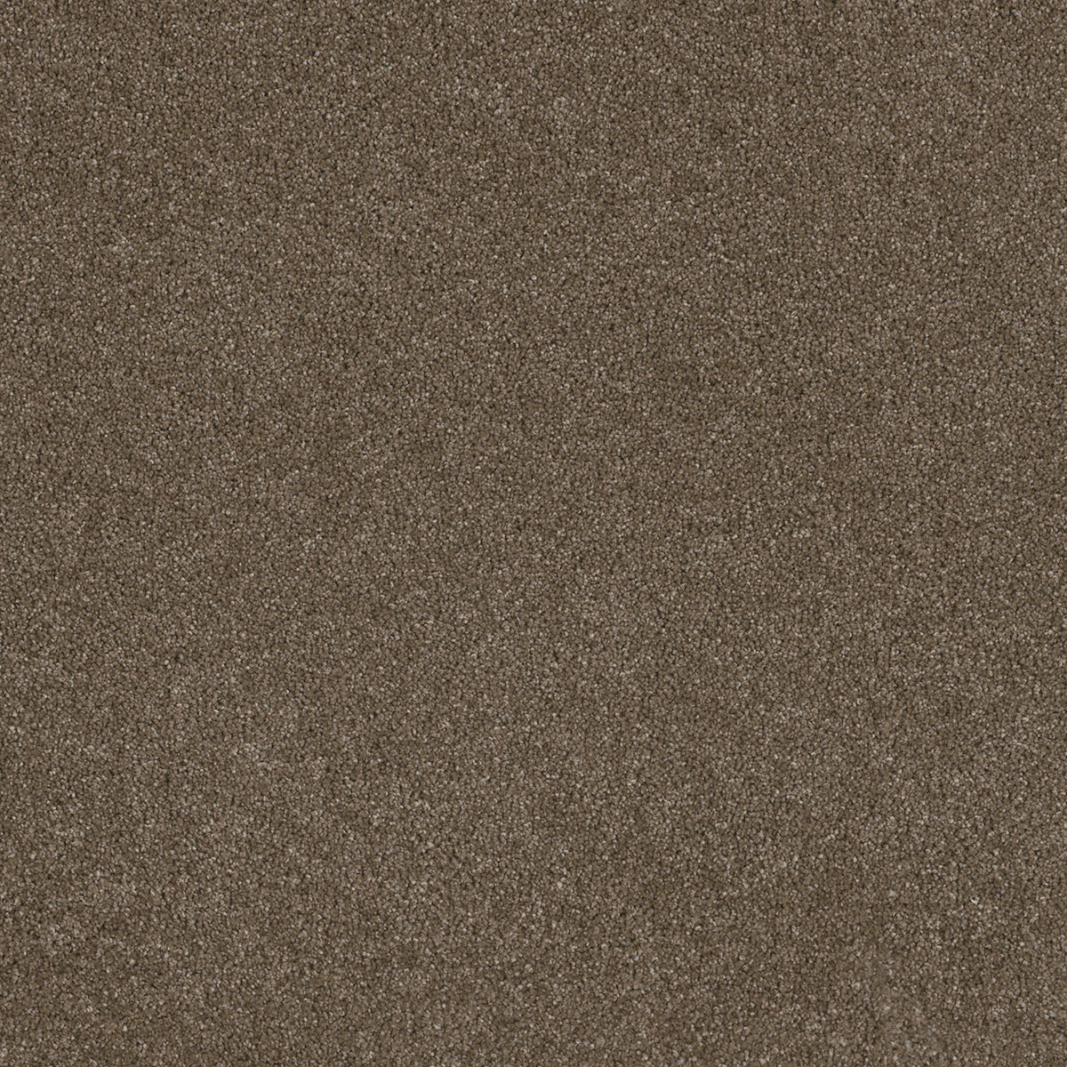 STUNNING - Peppercorn - Swatch