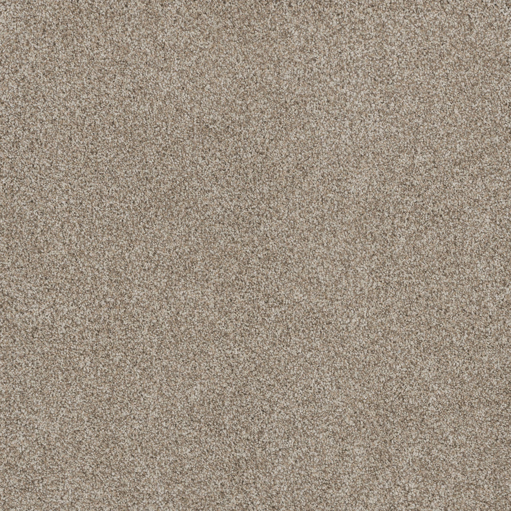 STUNNING - Seashells - Swatch