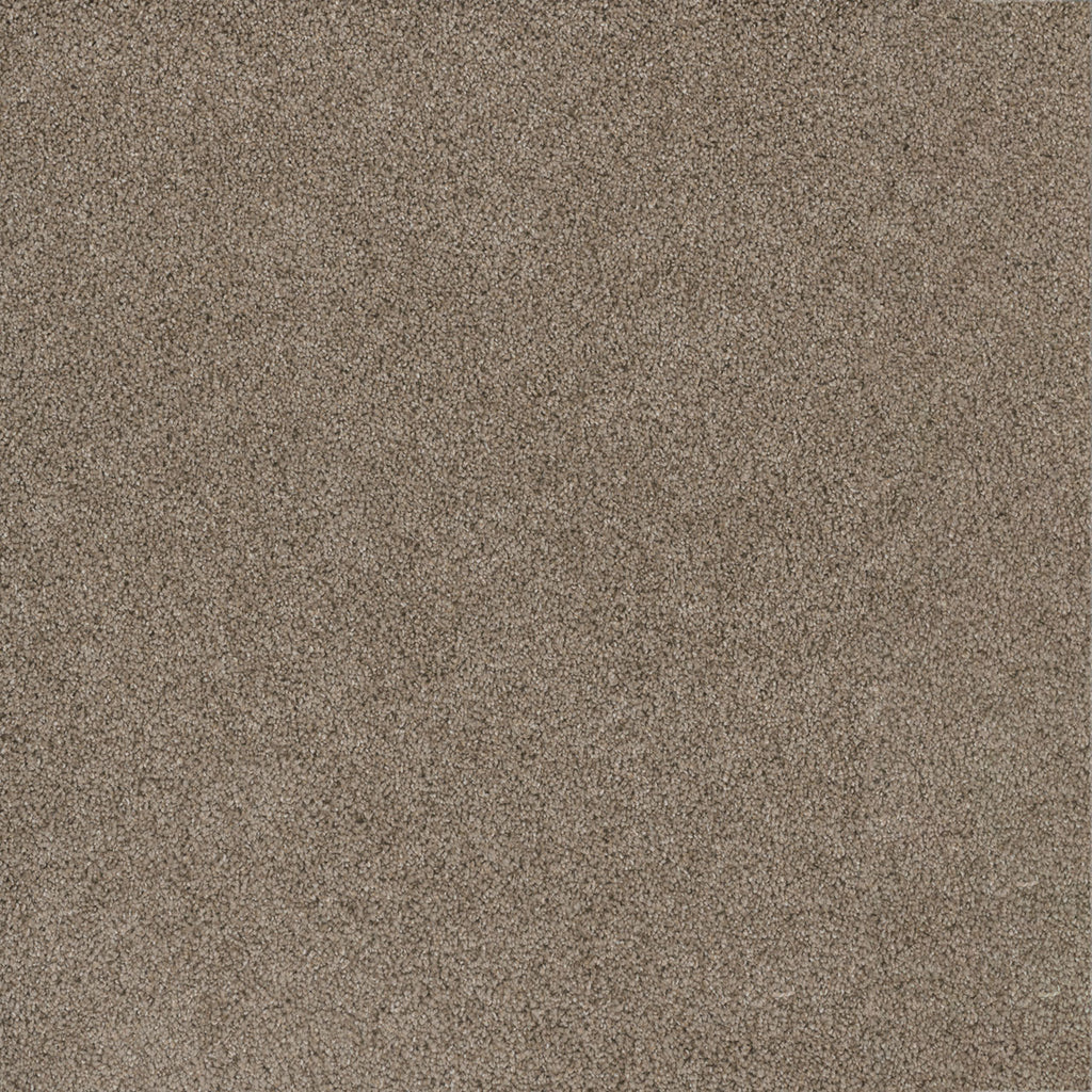 STUNNING - Mocha - Swatch