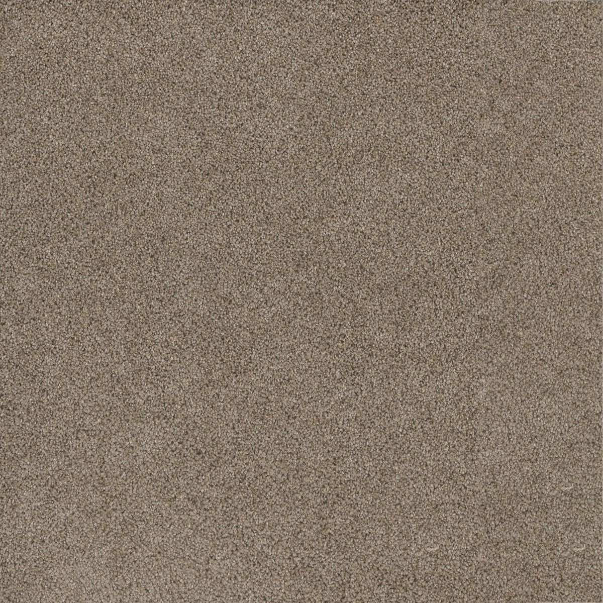 STUNNING - Mocha - Swatch