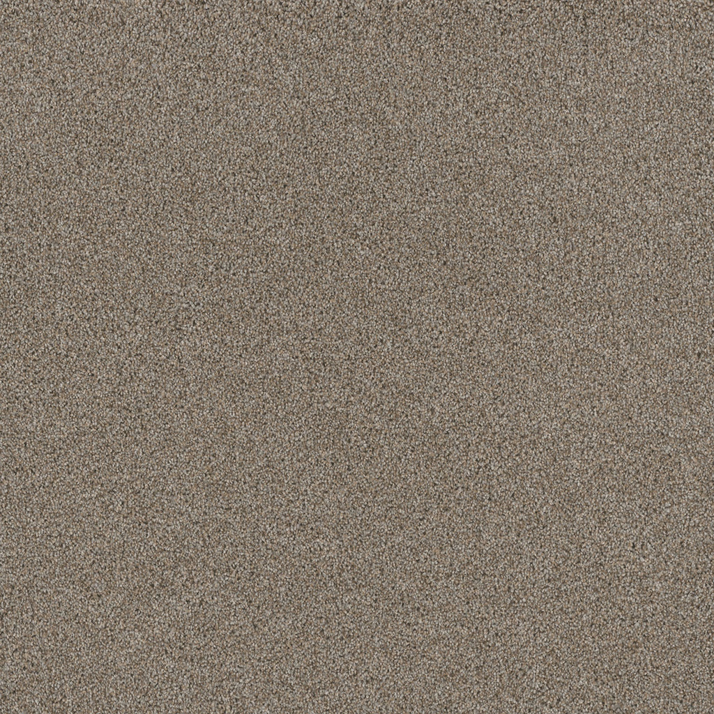 STUNNING - Iron Frost - Swatch