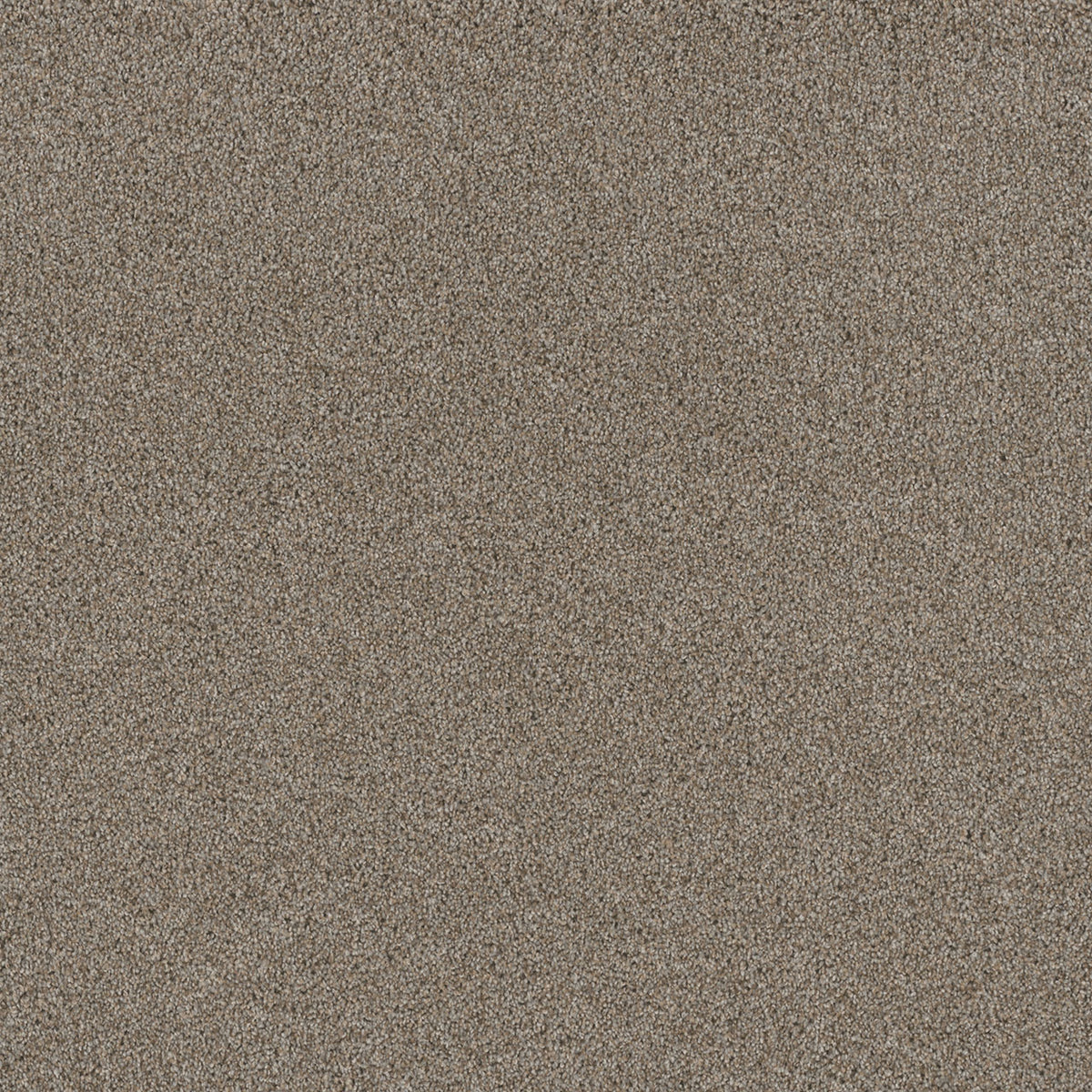 STUNNING - Iron Frost - Swatch