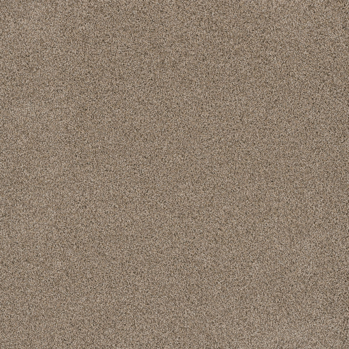 STUNNING - Linen - Swatch