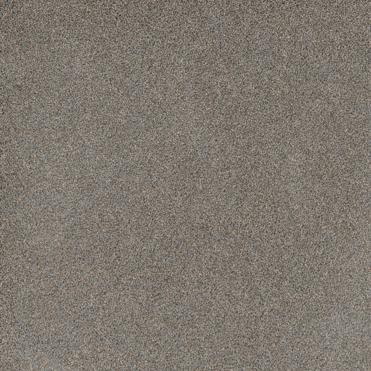 STUNNING - Shadows - Swatch