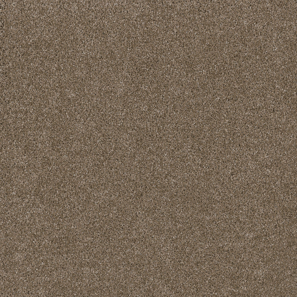 STUNNING - Acorn - Swatch