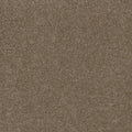 STUNNING - Acorn - Swatch