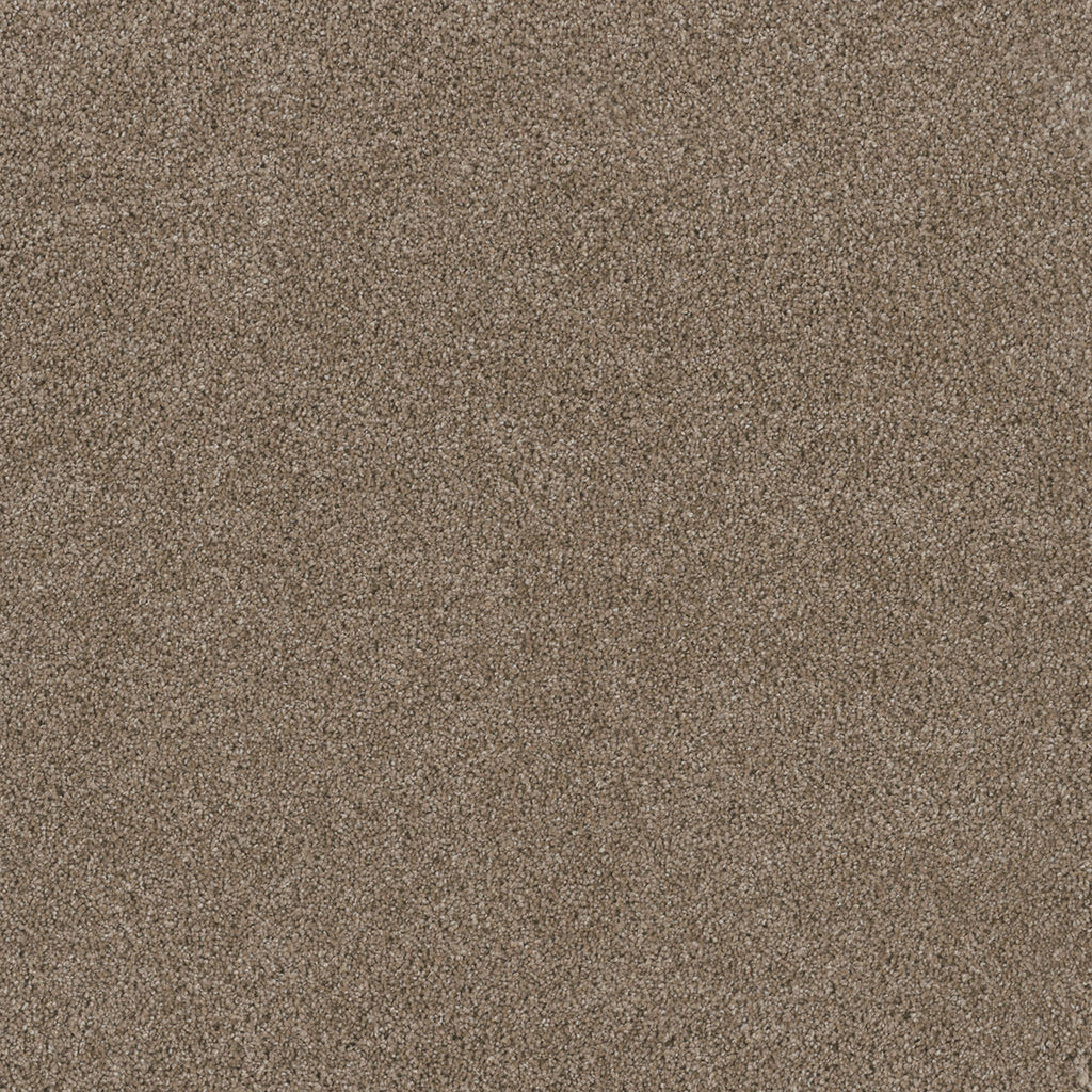 STUNNING - Tumbleweed - Swatch